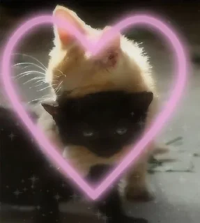 💟