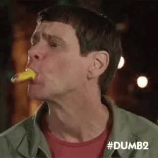 🌭