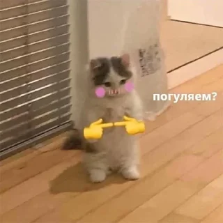 😳