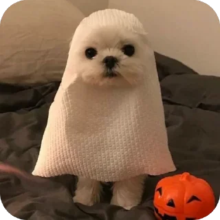 🎃