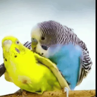 💕