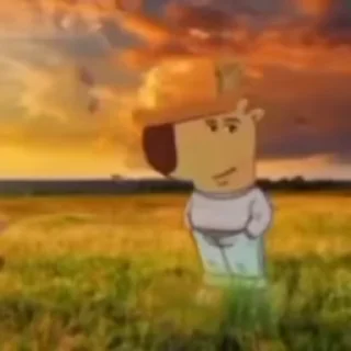 🌟