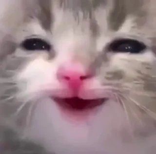 ☺️