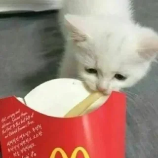 😋