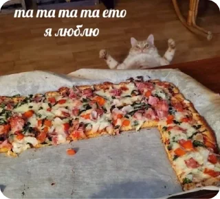 🍕