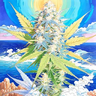 Opal Ocean Breeze