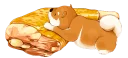 🐶
