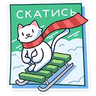 🛷