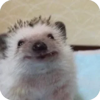 🙂
