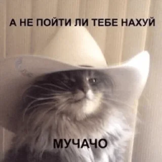🤠