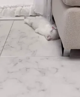 😴