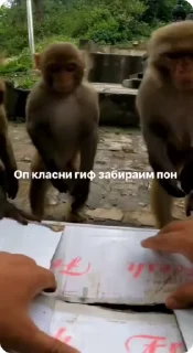 🎁