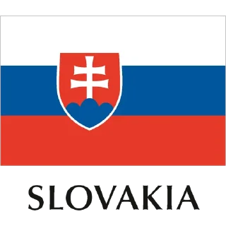 🇸🇰