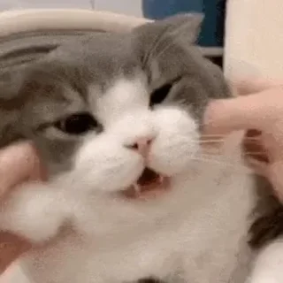 😱