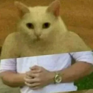 😄