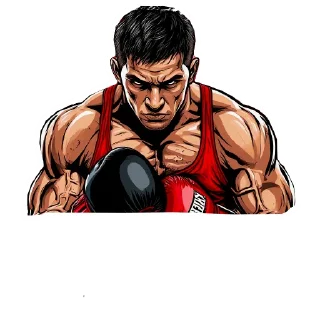 🥊