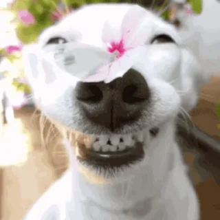 😁