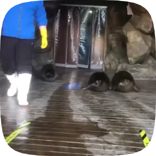 🏃