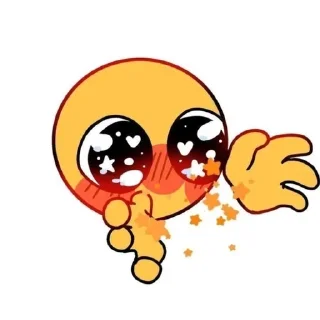🌟