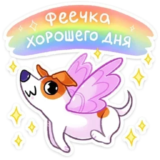 ✨