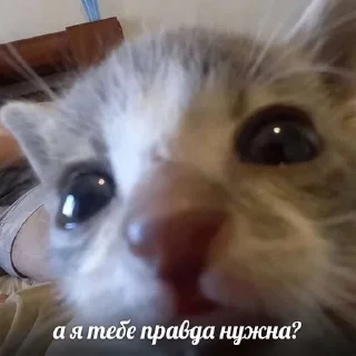 🥹