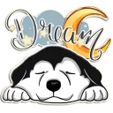 😴