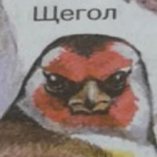 👶