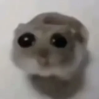 😳