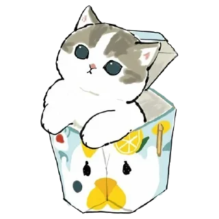🐈‍⬛