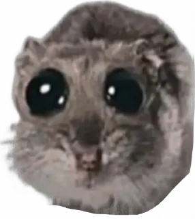 🐹