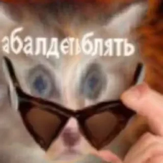 😮
