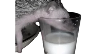 🥛