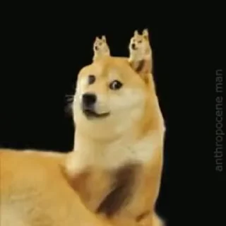 🤠