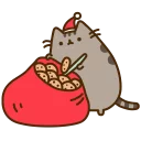 🐱