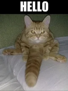 😌