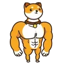 💪