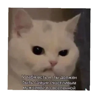 😠