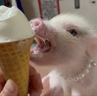 😋