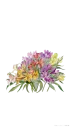 💐