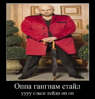 😼