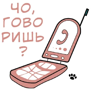 📞