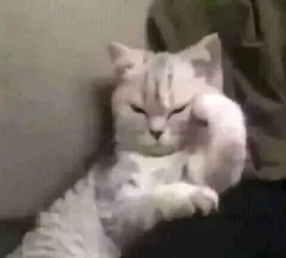 🤨