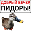 🦆