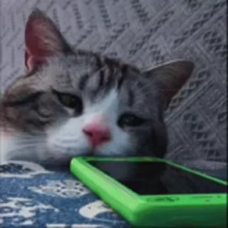😭