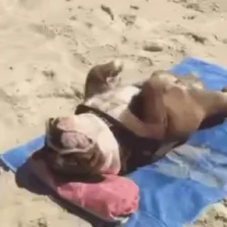 😴