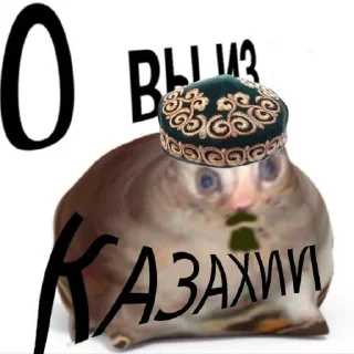 😨