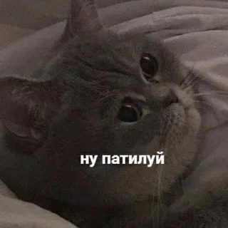 😒