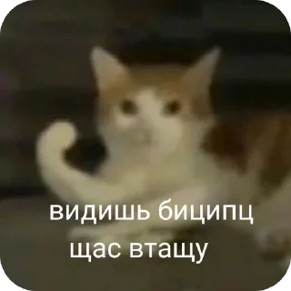 🔥