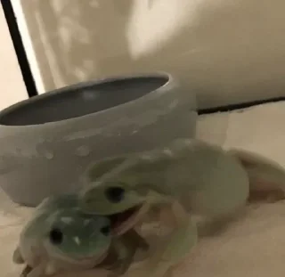 👻