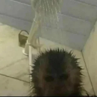 🥲